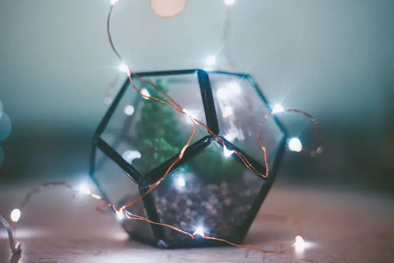 Glass terrarium wrapped in fine wire fairy lights
