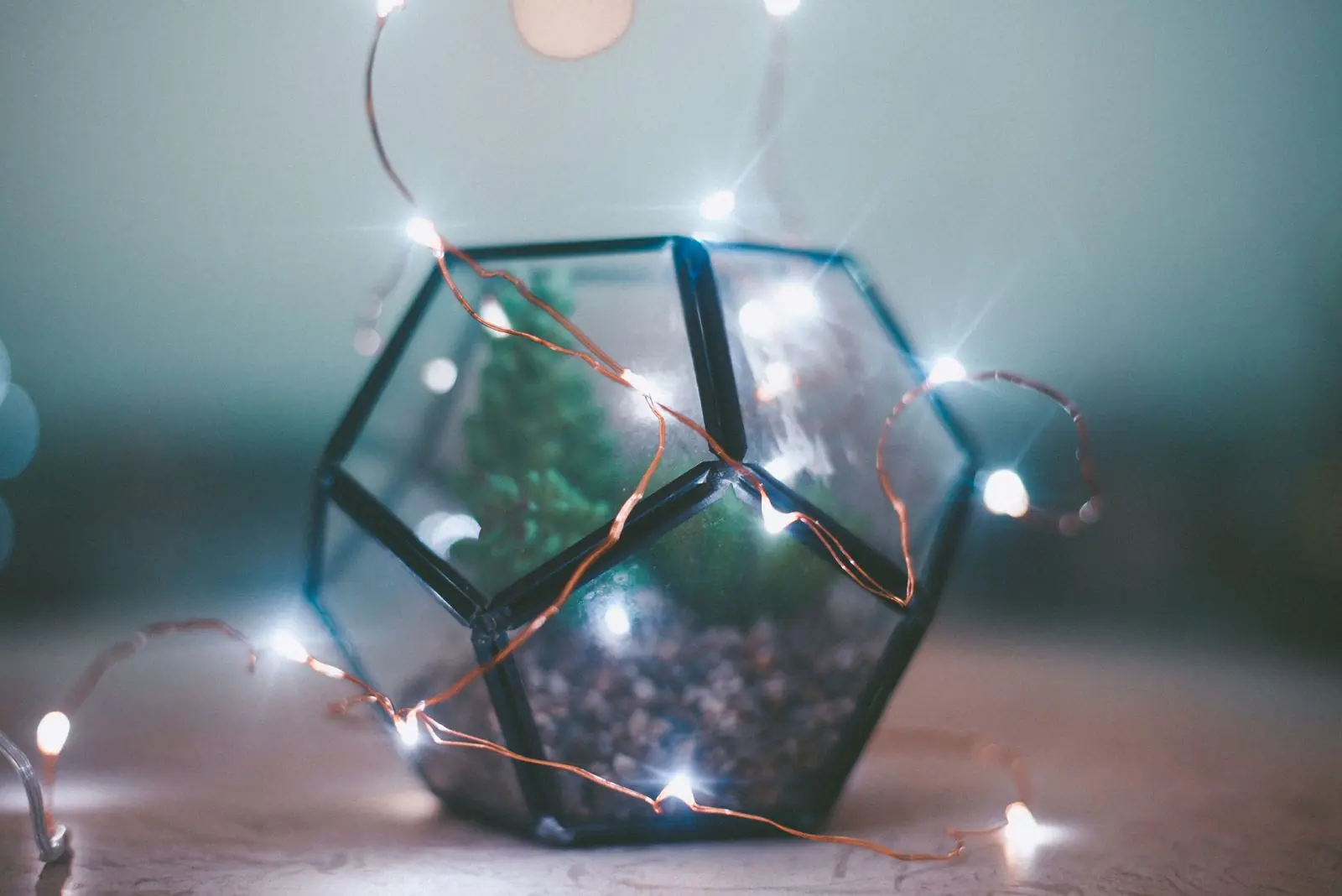 Glass terrarium wrapped in copper wire fairy lights