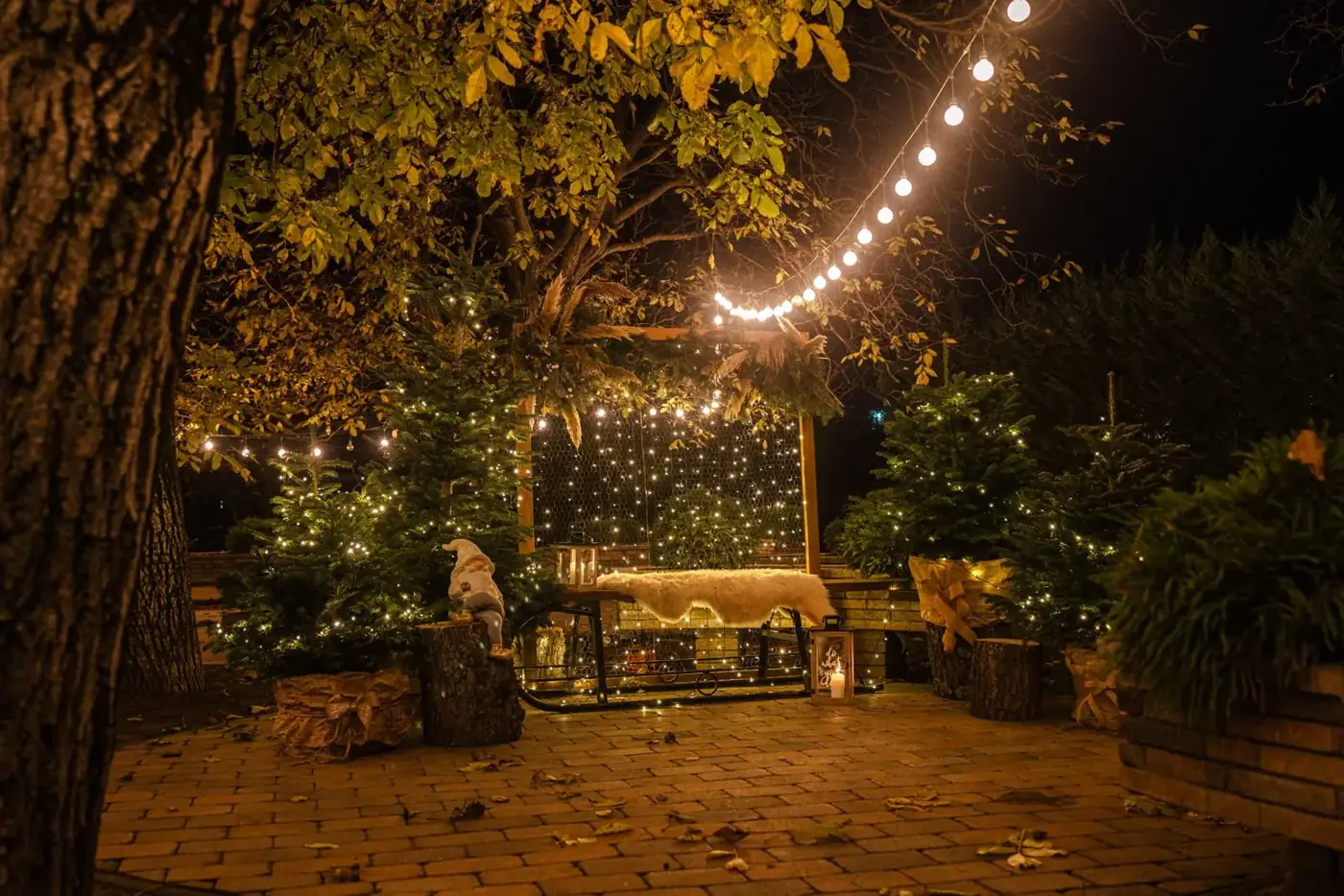 Garden patio with string lights woven through trees at night