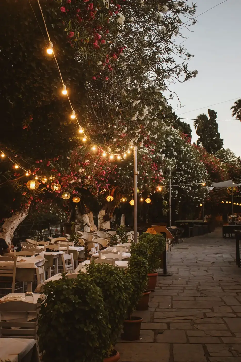 Restaurant patio with waterproof festoon string lights and greenery